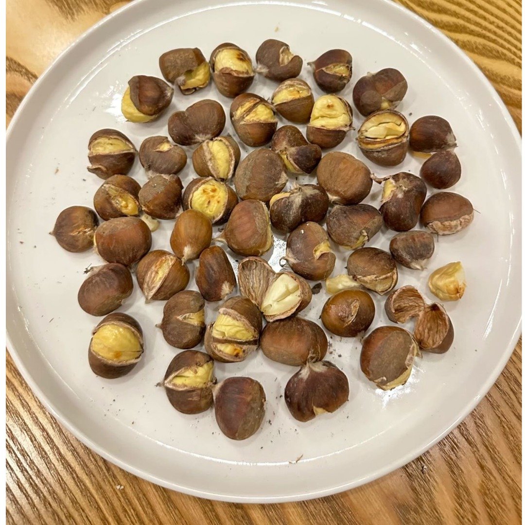 Qovrulmuş şabalıd