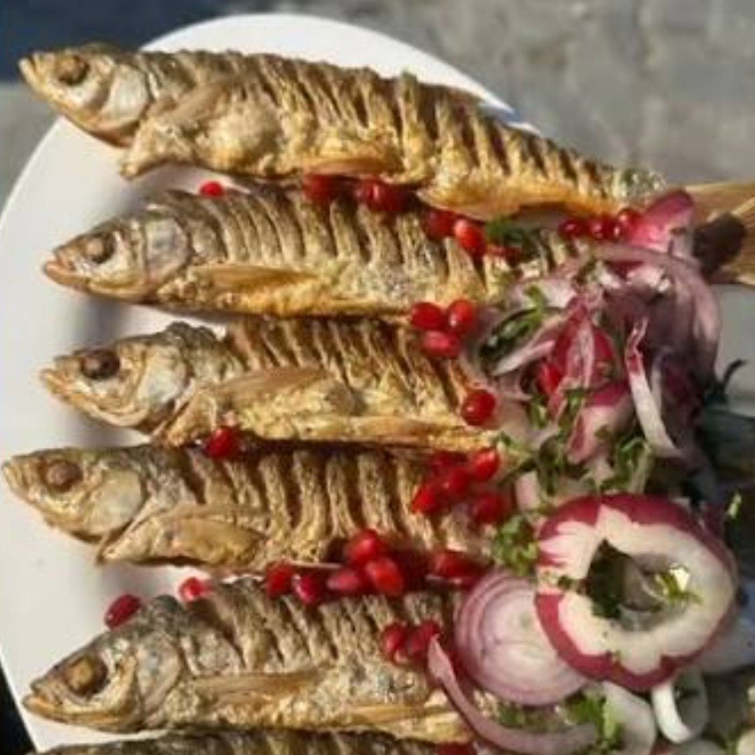 Sudak balığı(tava-manqal)